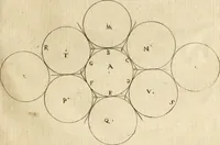 An illustration from Recreatio mentis, et oculi in observatione animalium testaceorum Italico sermone primum proposita ... nunc ... Latine oblata centum additis testaceorum iconibus .. (1684)