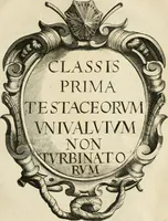 Picture 23 of 366 from Recreatio mentis, et oculi in observatione animalium testaceorum Italico sermone primum proposita ... nunc ... Latine oblata centum additis testaceorum iconibus .. (1684), leaf 315