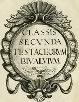 Picture 36 of 366 from Recreatio mentis, et oculi in observatione animalium testaceorum Italico sermone primum proposita ... nunc ... Latine oblata centum additis testaceorum iconibus .. (1684), leaf 329