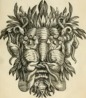 An illustration from Recreatio mentis, et oculi in observatione animalium testaceorum Italico sermone primum proposita ... nunc ... Latine oblata centum additis testaceorum iconibus .. (1684)