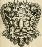 An illustration from Recreatio mentis, et oculi in observatione animalium testaceorum Italico sermone primum proposita ... nunc ... Latine oblata centum additis testaceorum iconibus .. (1684)