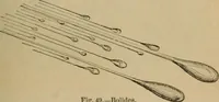 Picture 34 of 62 from Recreations in astronomy : with directions for practical experiments and telescopic work (1879), leaf 138