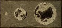 An illustration from Recreations in astronomy : with directions for practical experiments and telescopic work (1879)