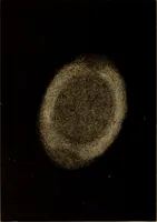 An illustration from Recreations in astronomy : with directions for practical experiments and telescopic work (1879)