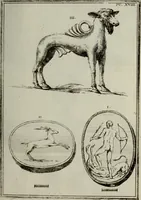 Picture 42 of 197 from Recueil d'antiquités égyptiennes, étrusques, greques et romaines (1752), leaf 156