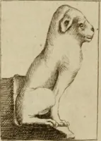 An illustration from Recueil d'antiquités égyptiennes, étrusques, greques et romaines (1752)