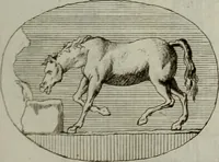 An illustration from Recueil d'antiquités égyptiennes, étrusques, greques et romaines (1752)