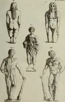 Picture 116 of 197 from Recueil d'antiquités égyptiennes, étrusques, greques et romaines (1752), leaf 518