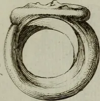 An illustration from Recueil d'antiquités égyptiennes, étrusques, greques et romaines (1752)