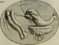 An illustration from Recueil d'antiquités égyptiennes, étrusques, greques et romaines (1752)
