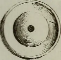An illustration from Recueil d'antiquités égyptiennes, étrusques, greques et romaines (1752)