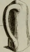 An illustration from Recueil d'antiquités égyptiennes, étrusques, greques et romaines (1752)