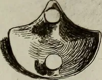 An illustration from Recueil d'antiquités égyptiennes, étrusques, greques et romaines (1752)