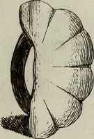 An illustration from Recueil d'antiquités égyptiennes, étrusques, greques et romaines (1752)