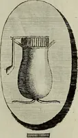 Picture 10 of 197 from Recueil d'antiquités égyptiennes, étrusques, greques et romaines (1752), leaf 70