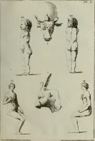 Picture 16 of 197 from Recueil d'antiquités égyptiennes, étrusques, greques et romaines (1752), leaf 76