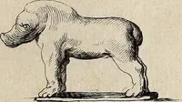 An illustration from Recueil d'antiquités égyptiennes, étrusques, greques et romaines (1752)