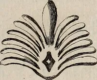 An illustration from Recueil d'antiquités égyptiennes, étrusques, greques et romaines (1752)