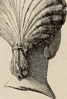 An illustration from Recueil d'antiquités égyptiennes, étrusques, greques et romaines (1752)