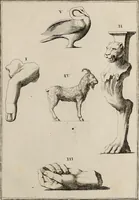Picture 174 of 191 from Recueil d'antiquités égyptiennes, étrusques, greques et romaines (1752), leaf 546