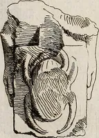 An illustration from Recueil d'antiquités égyptiennes, étrusques, greques et romaines (1752)