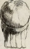 An illustration from Recueil d'antiquités égyptiennes, étrusques, greques et romaines (1752)