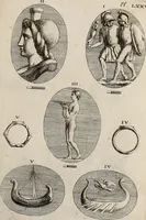 Picture 165 of 281 from Recueil d'antiquités égyptiennes, étrusques, greques et romaines (1752), leaf 532