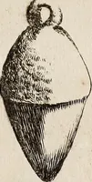 An illustration from Recueil d'antiquités égyptiennes, étrusques, greques et romaines (1752)