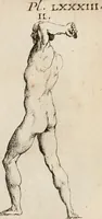 Picture 182 of 281 from Recueil d'antiquités égyptiennes, étrusques, greques et romaines (1752), leaf 546