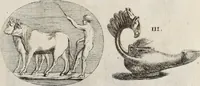 Picture 197 of 281 from Recueil d'antiquités égyptiennes, étrusques, greques et romaines (1752), leaf 556