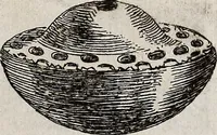 An illustration from Recueil d'antiquités égyptiennes, étrusques, greques et romaines (1752)