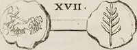 Picture 245 of 281 from Recueil d'antiquités égyptiennes, étrusques, greques et romaines (1752), leaf 590