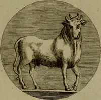 An illustration from Recueil d'antiquités égyptiennes, étrusques, greques et romaines (1752)