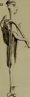 An illustration from Recueil d'antiquités égyptiennes, étrusques, greques et romaines (1752)