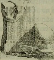 Picture 4 of 262 from Recueil d'antiquités égyptiennes, étrusques, greques et romaines (1752), leaf 31