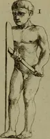 An illustration from Recueil d'antiquités égyptiennes, étrusques, greques et romaines (1752)