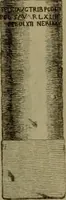 Picture 216 of 262 from Recueil d'antiquités égyptiennes, étrusques, greques et romaines (1752), leaf 678