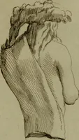 An illustration from Recueil d'antiquités égyptiennes, étrusques, greques et romaines (1752)