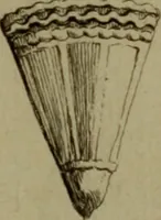 Picture 257 of 262 from Recueil d'antiquités égyptiennes, étrusques, greques et romaines (1752), leaf 712