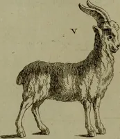 An illustration from Recueil d'antiquités égyptiennes, étrusques, greques et romaines (1752)