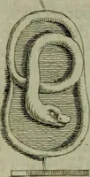 An illustration from Recueil d'antiquités égyptiennes, étrusques, greques et romaines (1752)