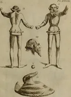 Picture 74 of 306 from Recueil d'antiquités égyptiennes, étrusques, greques et romaines (1752), leaf 198