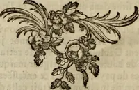 Picture 7 of 306 from Recueil d'antiquités égyptiennes, étrusques, greques et romaines (1752), leaf 27