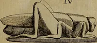 An illustration from Recueil d'antiquités égyptiennes, étrusques, greques et romaines (1752)