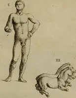 An illustration from Recueil d'antiquités égyptiennes, étrusques, greques et romaines (1752)