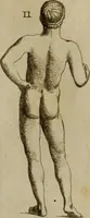 An illustration from Recueil d'antiquités égyptiennes, étrusques, greques et romaines (1752)
