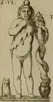 An illustration from Recueil d'antiquités égyptiennes, étrusques, greques et romaines (1752)