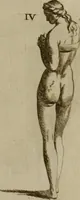 An illustration from Recueil d'antiquités égyptiennes, étrusques, greques et romaines (1752)