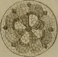 Picture 208 of 306 from Recueil d'antiquités égyptiennes, étrusques, greques et romaines (1752), leaf 520