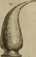 An illustration from Recueil d'antiquités égyptiennes, étrusques, greques et romaines (1752)
